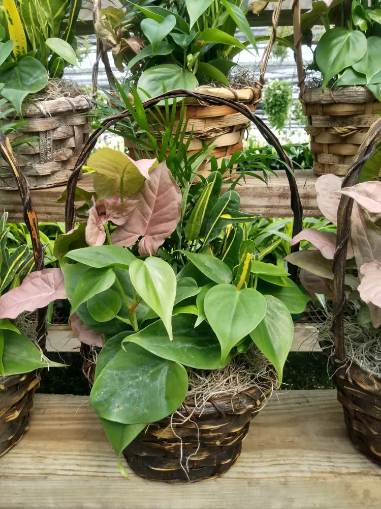 Woven basket garden