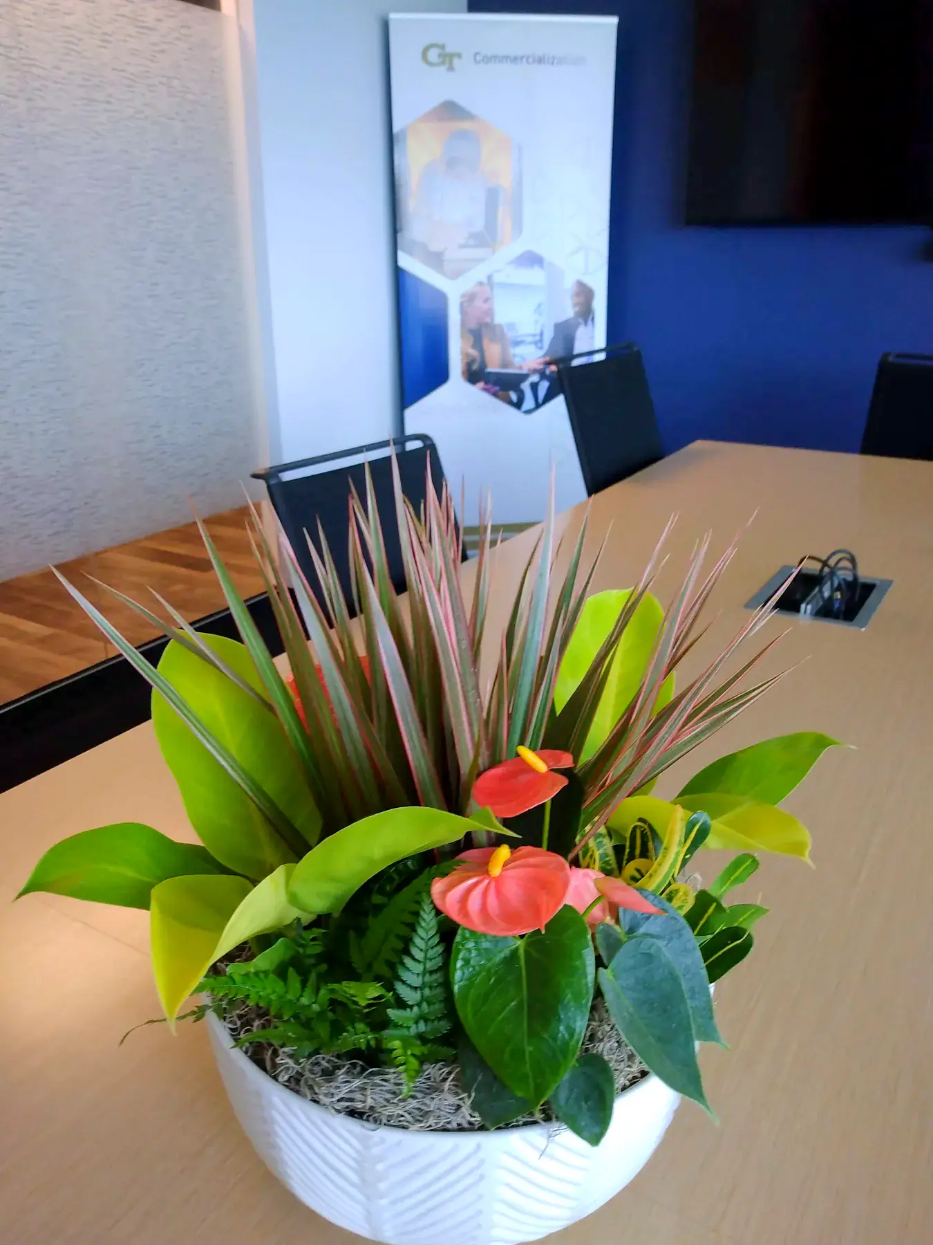Low planter of anthurium and tropicals as a conference table centerpiece