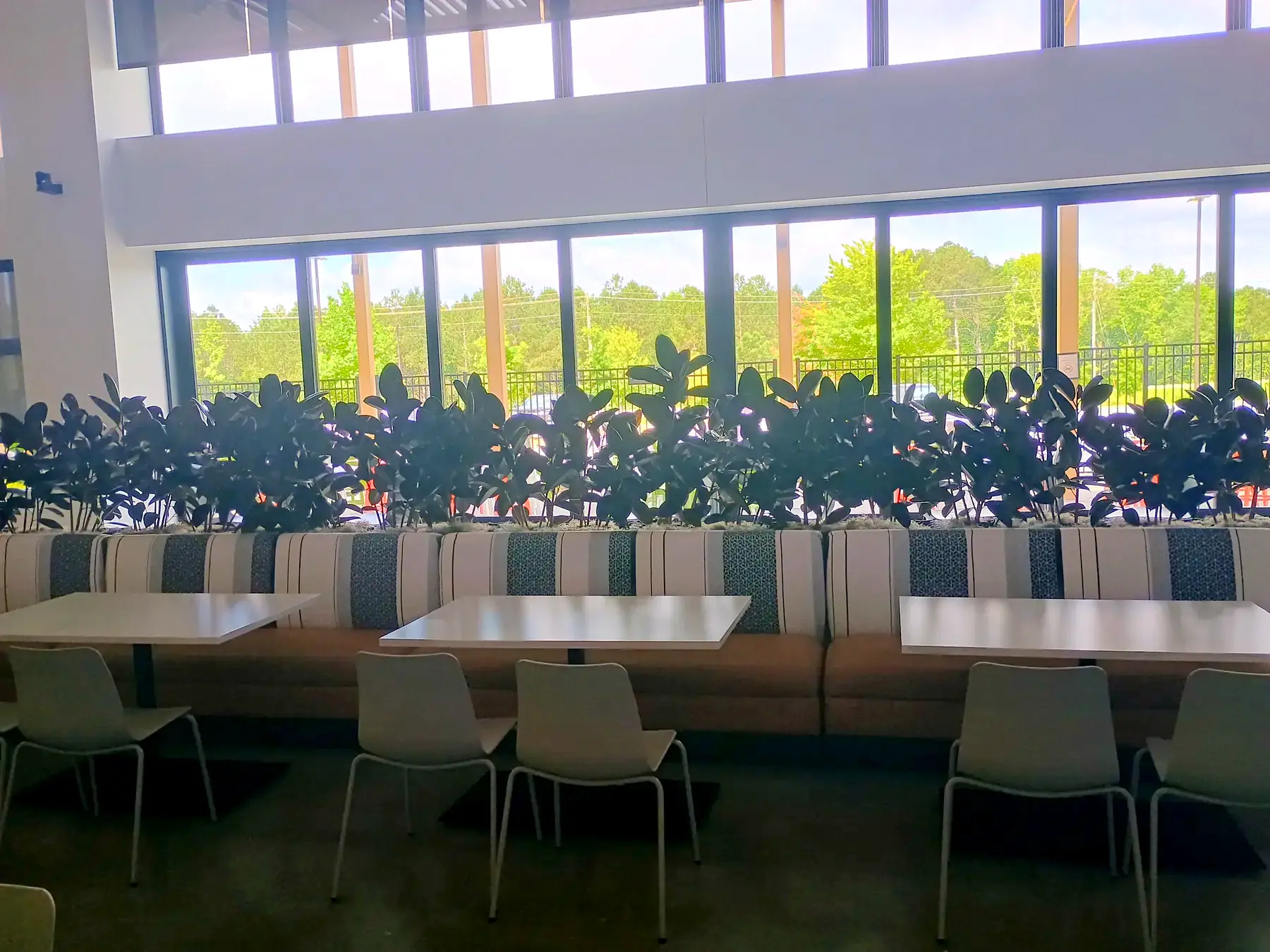 Long planter divider of tropicals between dining-hall tables and a wall of windows